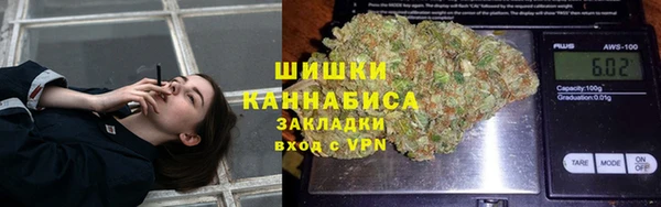 соль ск Богданович
