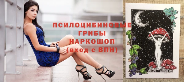 амф Богородицк