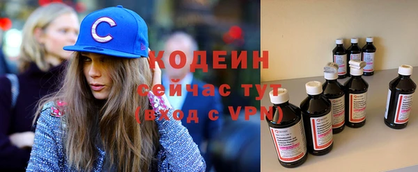 соль ск Богданович