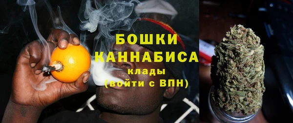 амф Богородицк